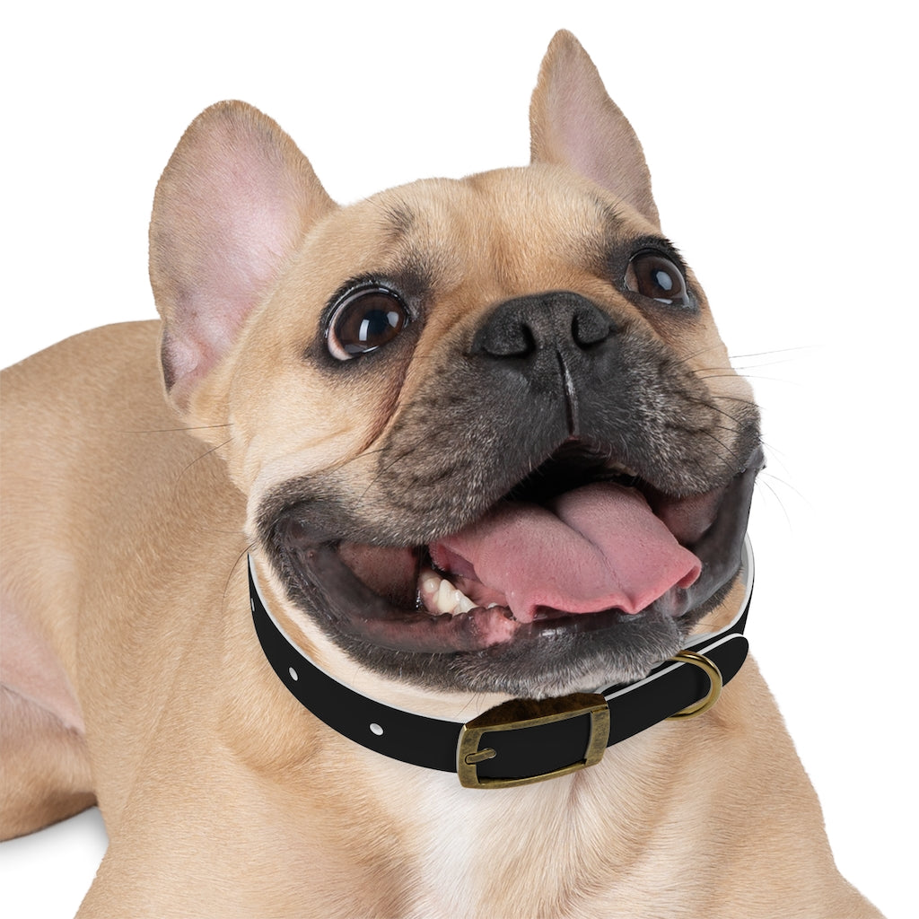Hackxxx Dog Collar