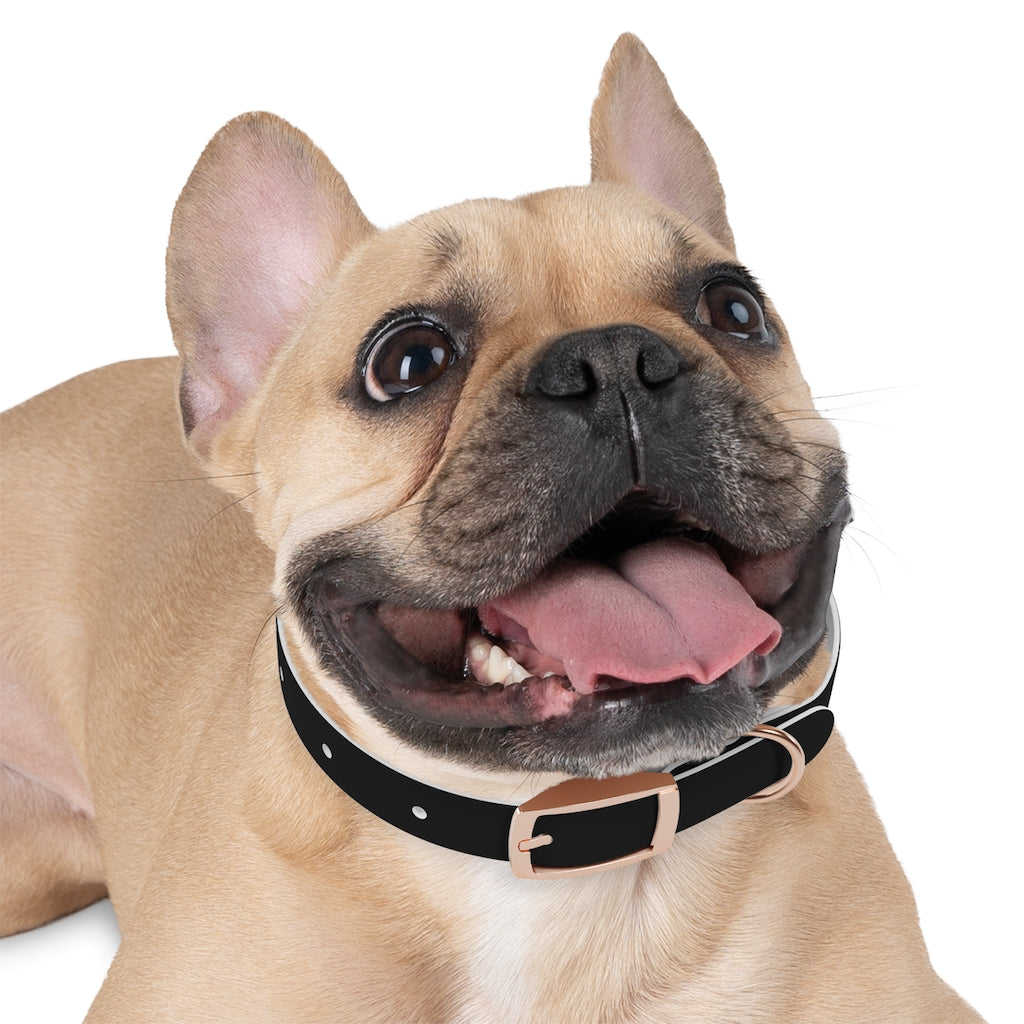 Hackxxx Dog Collar