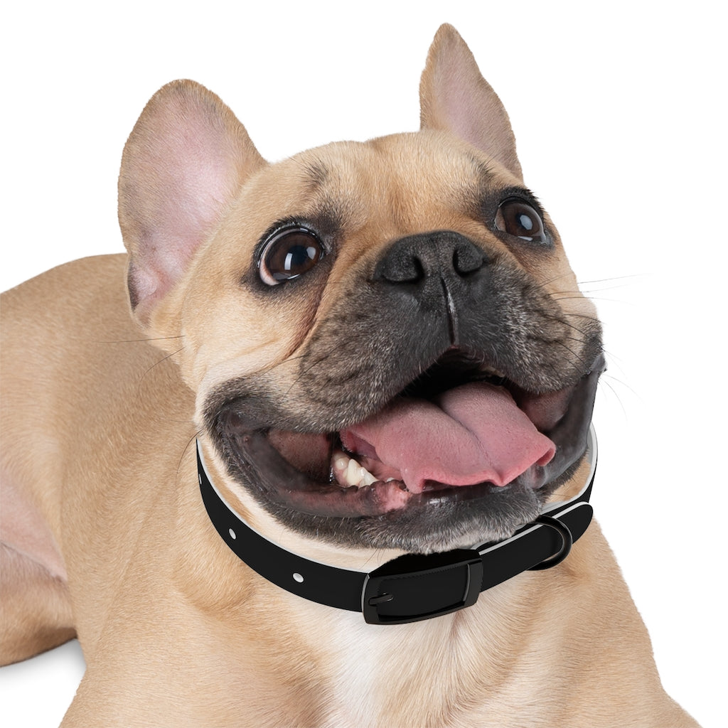 Hackxxx Dog Collar