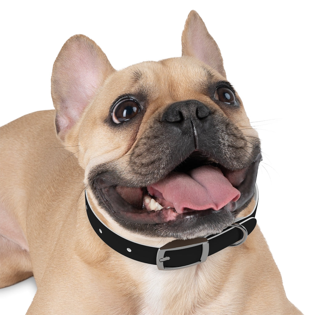 Hackxxx Dog Collar
