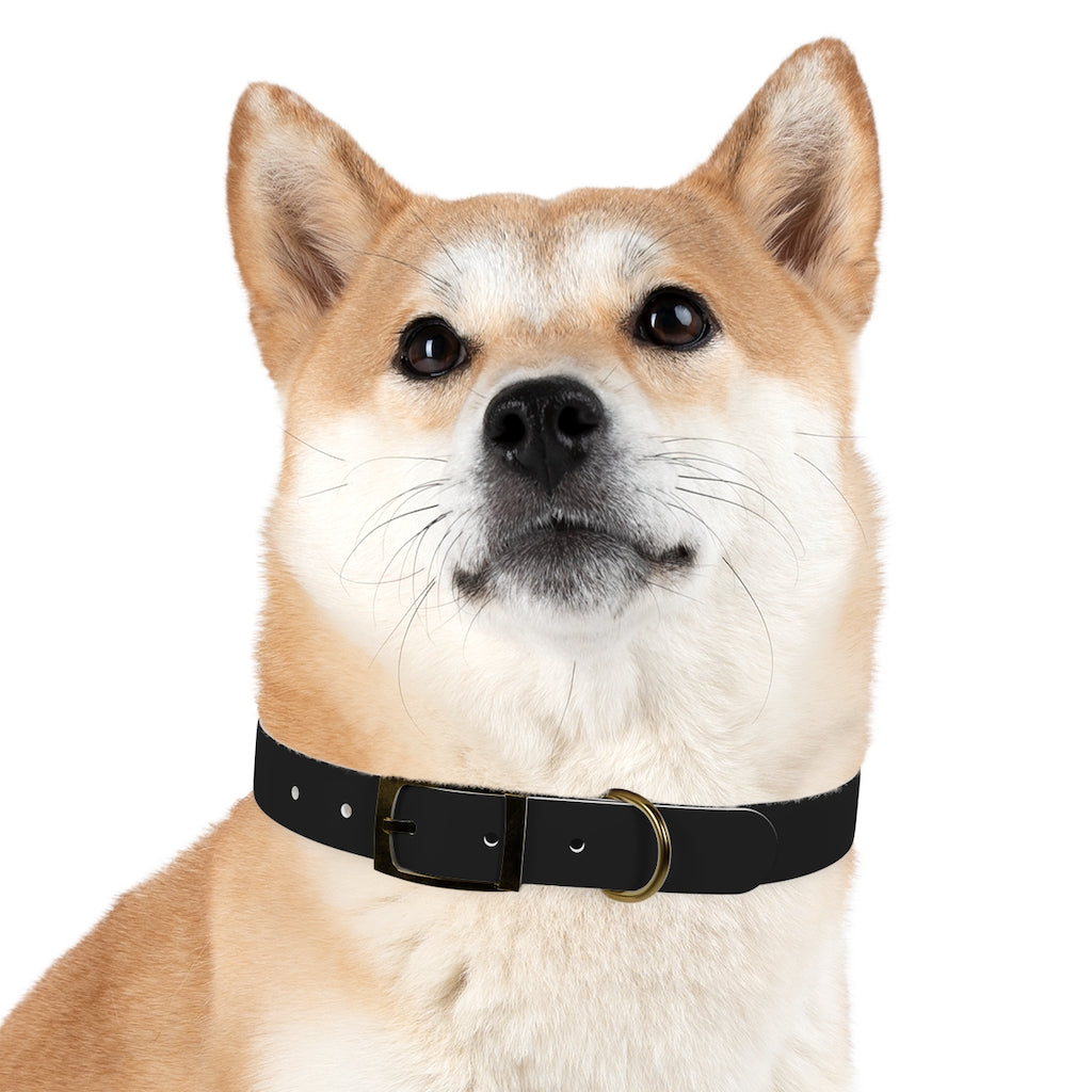 Hackxxx Dog Collar