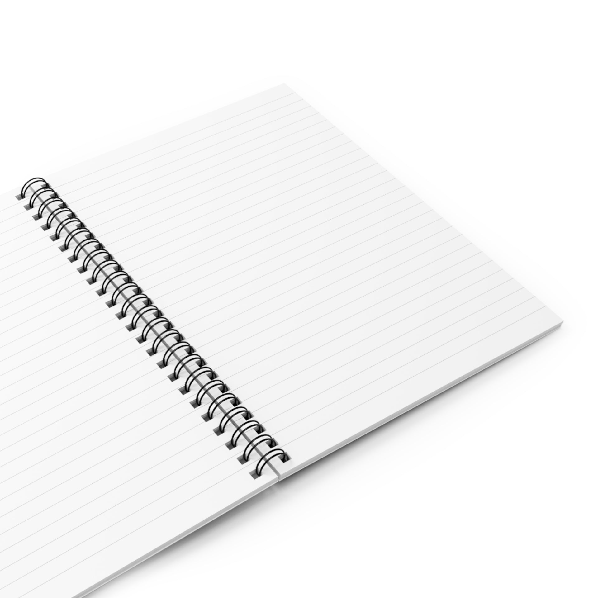 Passwords (Notebook)