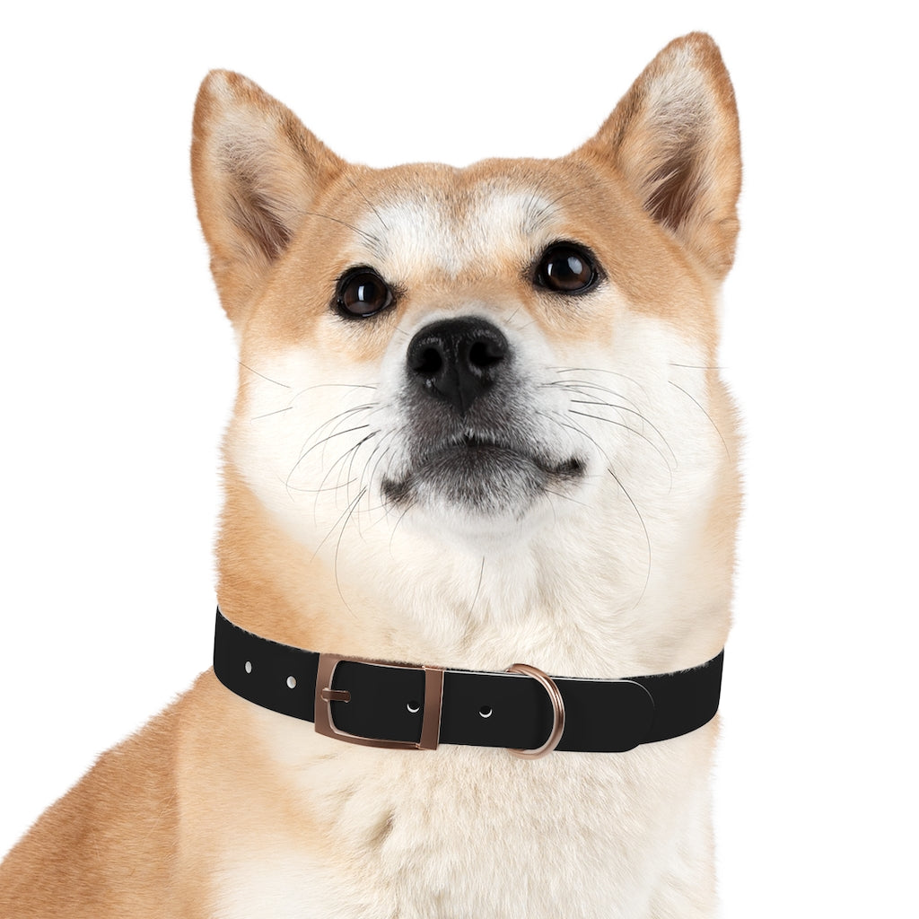 Hackxxx Dog Collar